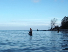 The bad beginning The bad beginning