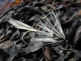 Big Hole Demon Big Hole Demon