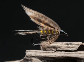 March Brown wet March Brown wet