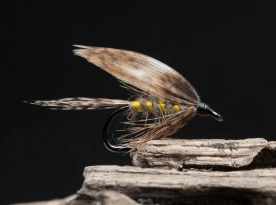 March Brown wet March Brown wet