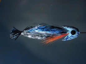 Stunned Herring Stunned Herring