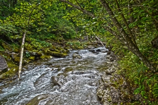 Wild and wonderful Wild and wonderful