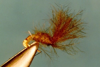 Once and Away #32 Once and Away #32