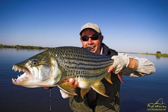 Perfect morning, perfect fish, 16lbs of trophy Perfect morning, perfect fish, 16lbs of trophy