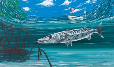 Cuda searching the mangrove Cuda searching the mangrove