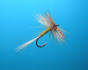 Hackle BWO Dun size 16 Hackle BWO Dun size 16
