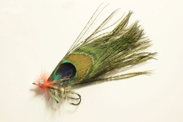 Peacock pike fly Peacock pike fly
