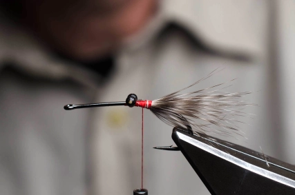 Racoon eyes Racoon eyes