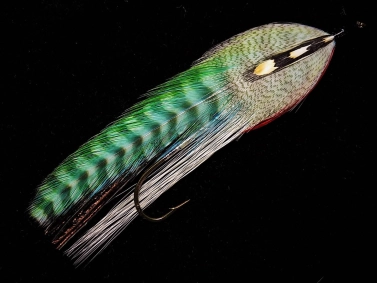 Emerald Shiner Emerald Shiner