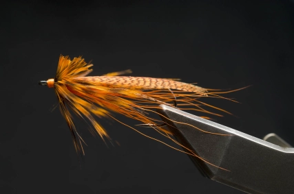 Orange Owl Orange Owl