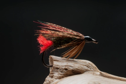 Red Tag Brushwing Red Tag Brushwing