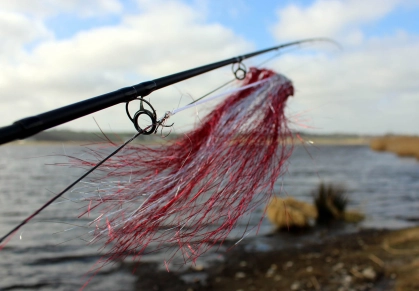 The carpet flying The carpet flying