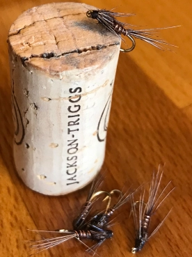 My first PTN's My first PTN's