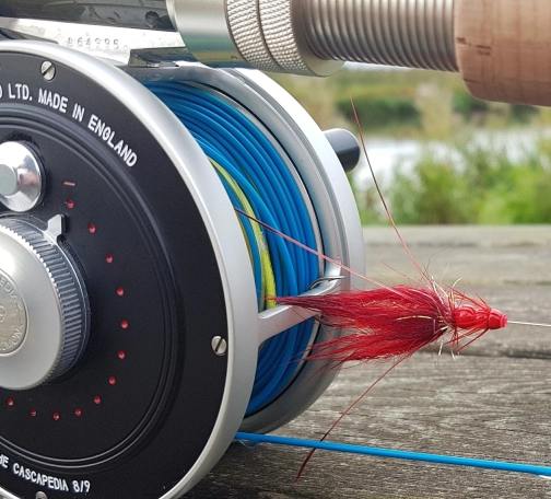 Frances Plug Frances Plug