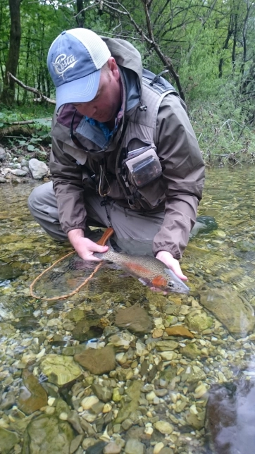 Into the clear water Into the clear water