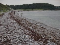 Dull weather, clear water Dull weather, clear water