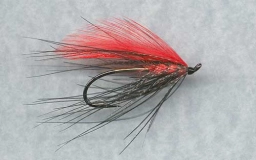 Chinook Spey Chinook Spey