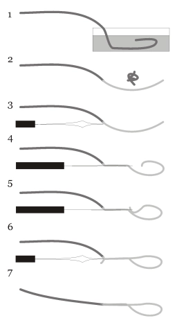 Loop on a fly line Loop on a fly line