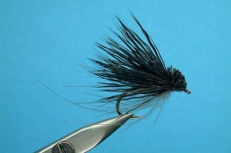 Pennsylvania Cricket Pennsylvania Cricket