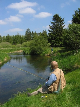 Danish stream Danish stream