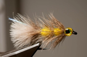 A Zoom baitfish A Zoom baitfish