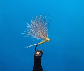 No-hackle BWO Dun size 20 No-hackle BWO Dun size 20