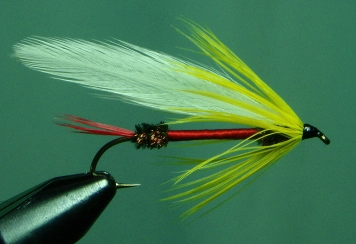 American Lake American Lake