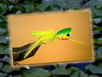 Green popper Green popper