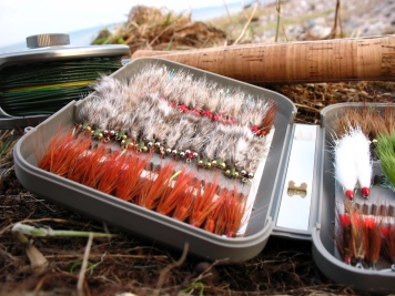 A stuffed box A stuffed box