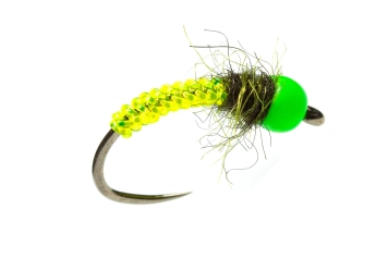 Bright fly Bright fly