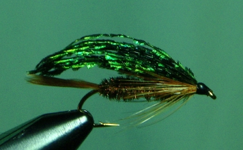 Peacock Streamer Peacock Streamer