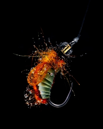 Nymph under water Nymph under water