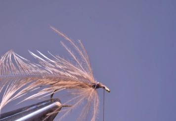 Step 11 - CdL feather ready top wrap Step 11 - CdL feather ready top wrap