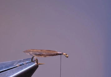 Step 5 - wing done Step 5 - wing done