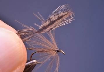 Step 9 - CdL hen feather Step 9 - CdL hen feather