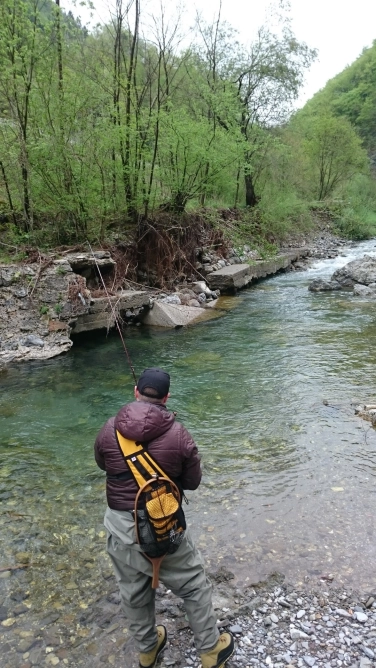 Nature takes over! Nature takes over!