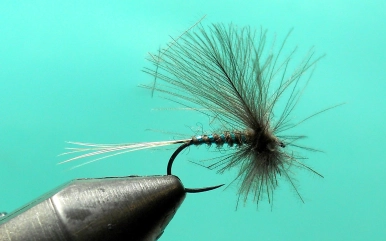 Step 17 - trimmed Step 17 - trimmed