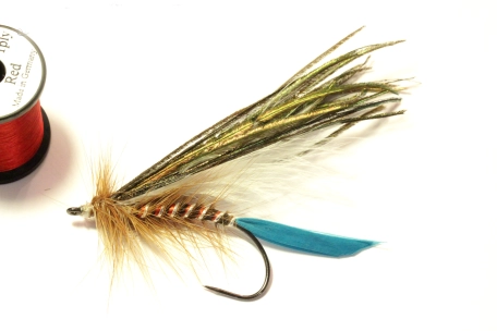 Gaudy pike fly Gaudy pike fly