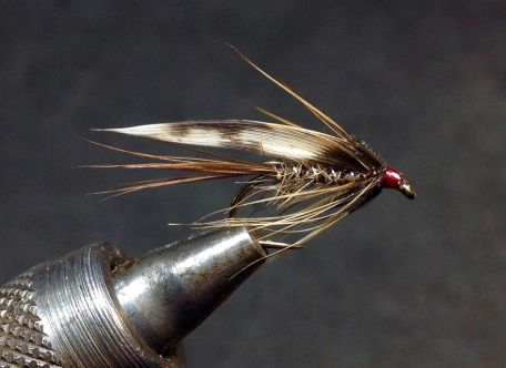 Patrick Brennan's March Brown Patrick Brennan's March Brown