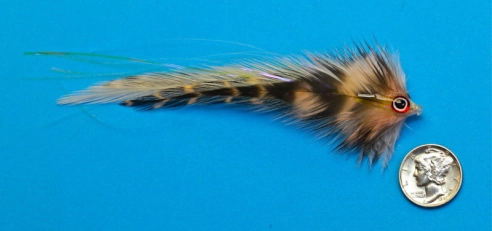 Slightly downsized Slightly downsized