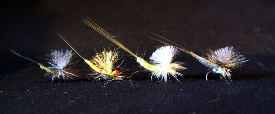 Different flies Different flies