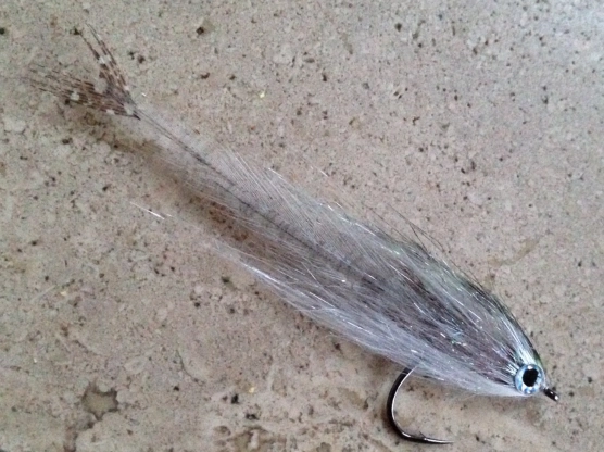 "Dead minnow" on the sand "Dead minnow" on the sand