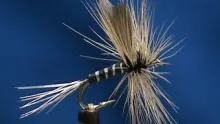 Video thumb for Badger Variant