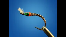 Video thumb for Moose Buzzer