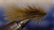 Video thumb for Brahma Bugger