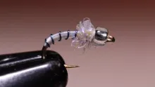 Video thumb for Poison Tung