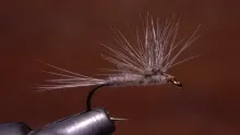 Video thumb for Hackle Stacker Hendrickson