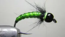 Video thumb for Rock Candy Larva