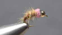Video thumb for Pink Squirrel Variant