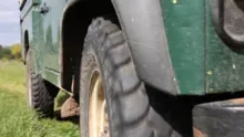 Video thumb for Mayfly